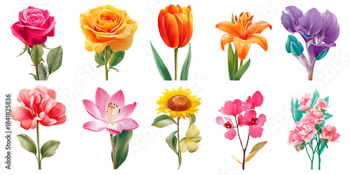 Collection of ten vibrant watercolor floral illustrations featuring roses tulips lilies and sunflowers on white background