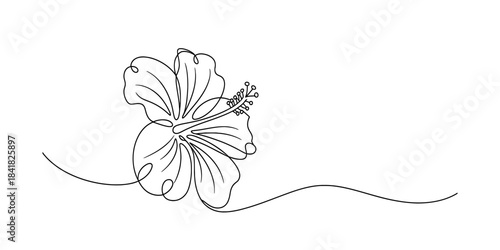 Continuous line drawing of a hibiscus flower blossom