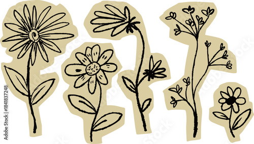Simple wildflowers set, hand drawn black ink doodle of various stems and daisy flowers in paper cut style. Cute flowers set with a beige paper texture background.