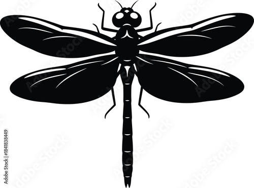 Dragonfly insect silhouette vector illustration