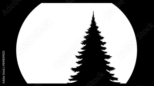 A black silhouette of a tall evergreen tree stands against a large white circle, resembling a full moon, set against a dark background.