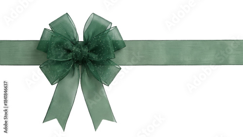 Lush green organza bow with silver glitter center on a horizontal ribbon, isolated on white. Ideal for festive website headers, banners, gift designs and decorative projects.
