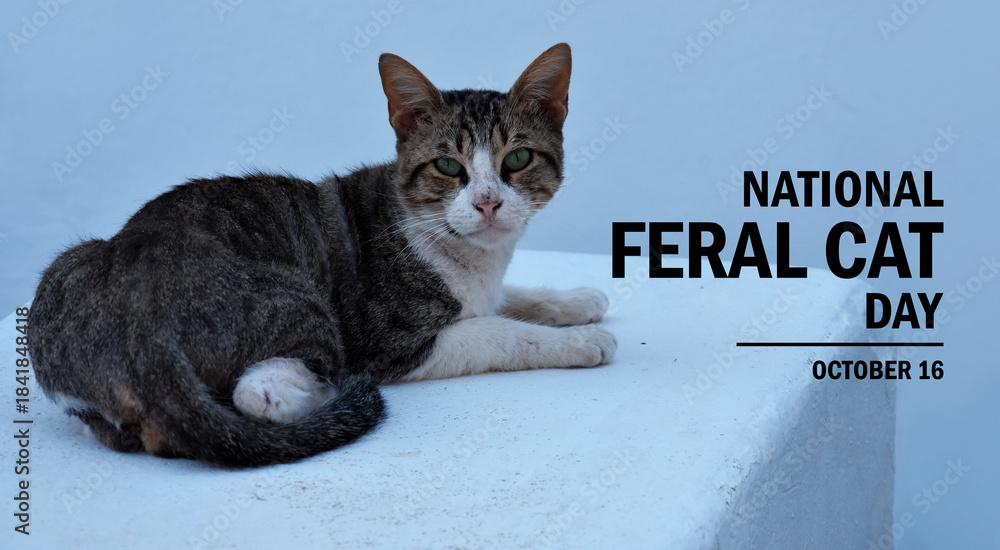 Εκτύπωση καμβά National Feral Cat Day poster stock photo images