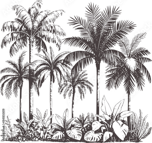Black and white hand drawn tropical palm forest foliage