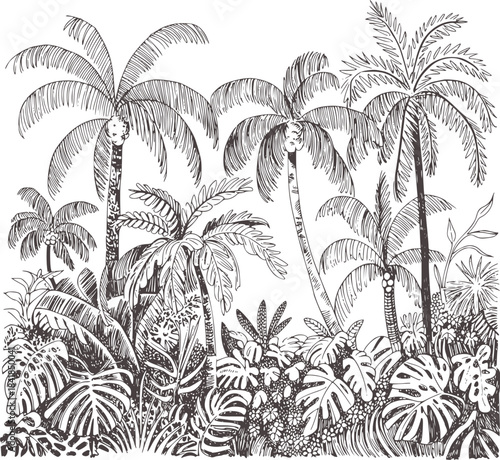 Black and white hand drawn tropical palm forest palms