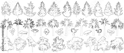 Contours of trees set isolated. Pine, spruce, palm tree, bushes. Vector illustration