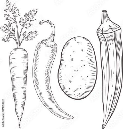Black and white line of carrot chili pepper potato and okra