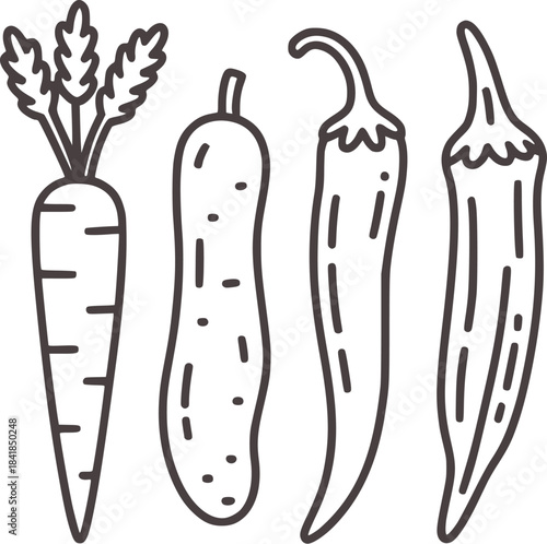 Black and white line of carrot cucumber and chilies