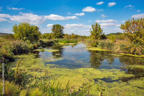 Scenic river Ros landscape with summer greenery, Ukraine.