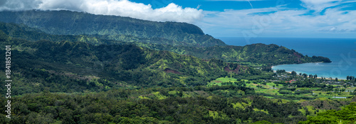 Along the Okolehao Trail on Kauai, HI