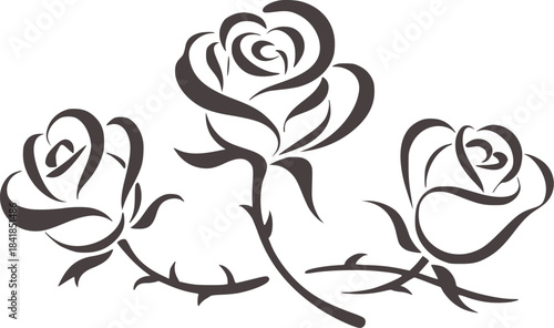 Minimalist black and white line roses trio flowers