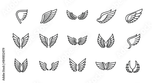 Collection of various black and white winged feather designs and illustrations
