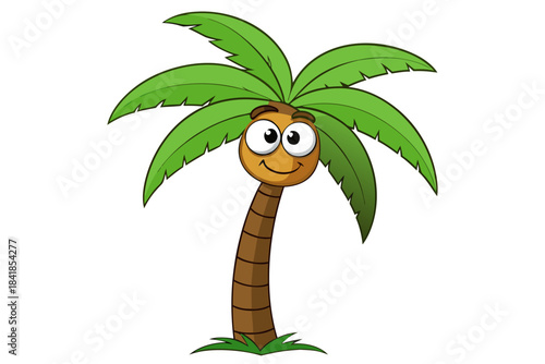 coconut tree white background design vector illustration