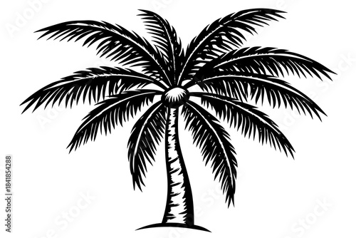 coconut tree white background linocut design vector illustration