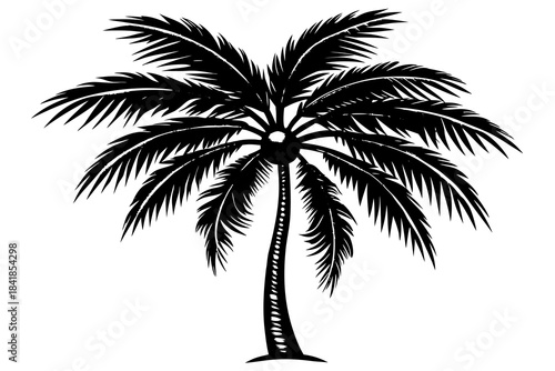 coconut tree white background linocut design vector illustration