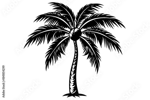 coconut tree white background linocut design vector illustration