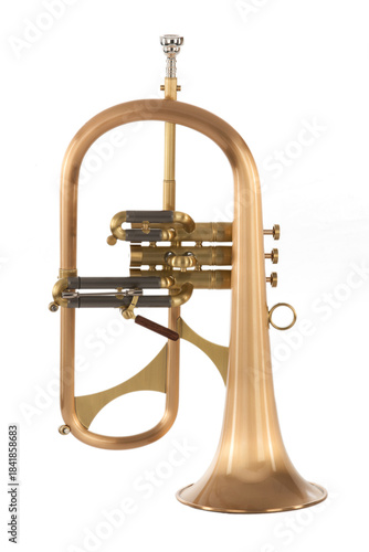 flugel horn