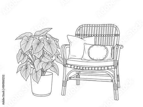 Rattan chair with pillows beside potted plant in minimalist style  
