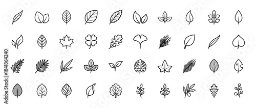 Botany and leaf line icon set. Vector pictograms of oak, maple, fern, palm, monstera, clover, ginkgo, ivy and diverse foliage, thin outline illustration.