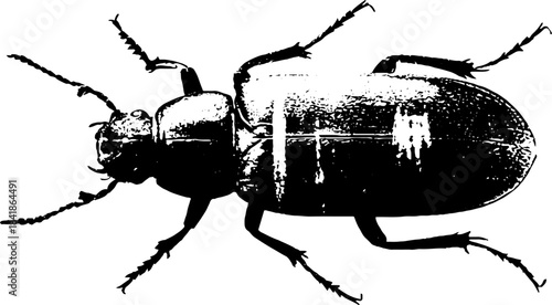 Intricate black and white stencil illustration of a beetle form for art design