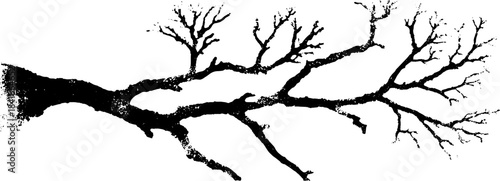 Black and white stencil of organic branching design for art projects