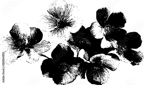 Black and white abstract floral stencil for art and design projects