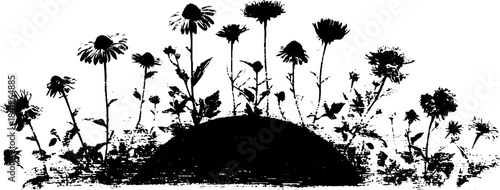 Black and white stencil illustration of wildflower cluster in early bloom