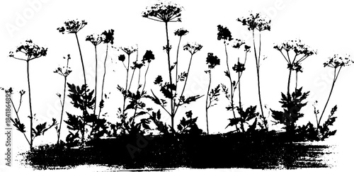 Black and white stencil illustration of wildflower cluster for urban design