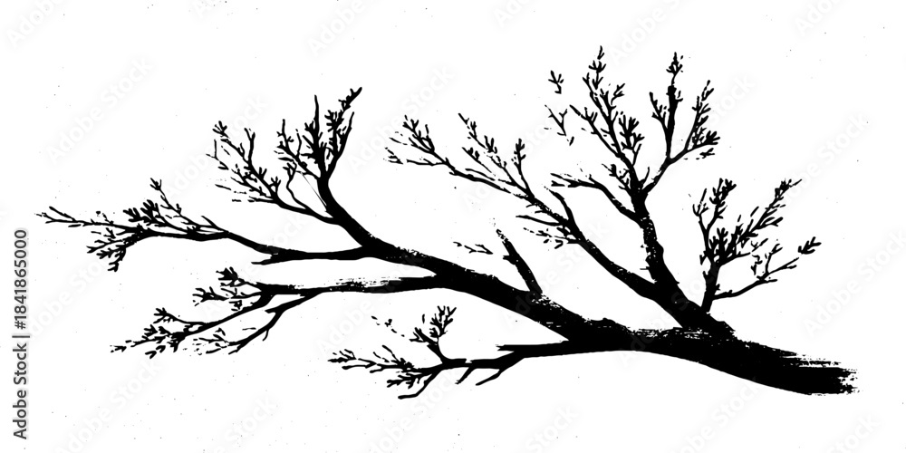 Fototapeta premium Black and white stencil illustration of a tree branch with leaves in a corner design for decor or print