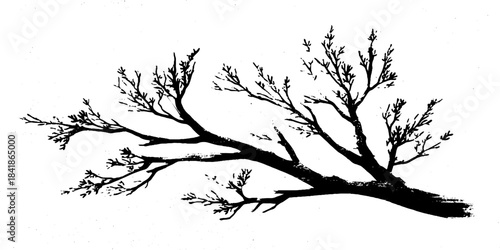 Black and white stencil illustration of a tree branch with leaves in a corner design for decor or print