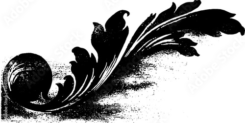 Elegant black and white ornamental curl stencil for design and decor