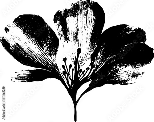 Black and white stencil art of curled dry petal - urban grunge floral illustration