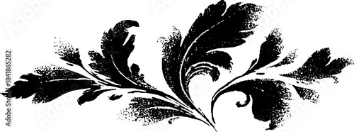 Elegant baroque black and white stencil design for art projects and decorations