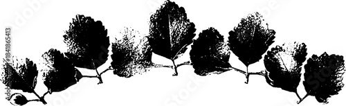 Black and white ornamental leaf border stencil for decorative design