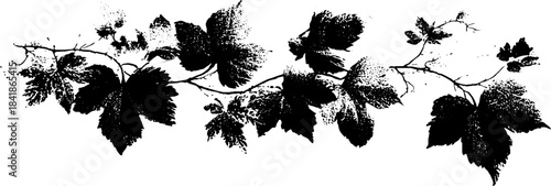 Black and white stencil illustration of decorative floral border for art and design