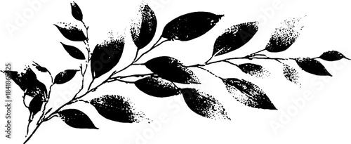 Black and white stencil illustration of decorative corner branch design