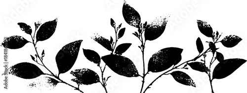 Black and white stencil of delicate leaves and branches for nature design