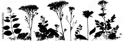 Black and white stencil illustration of delicate floral border for elegant design