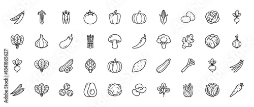 Vegetable line icon set. Vector pictograms of tomato, carrot, corn, broccoli, onion, garlic, pepper, potato, mushroom and pumpkin, thin outline illustration.