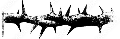 Distressed black and white stencil art of thorny border illustration for design projects