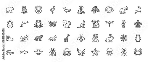Animal line icon set. Vector pictograms of lion, elephant, bear, tiger, whale, rabbit, owl, monkey, penguin and giraffe, thin outline illustration.