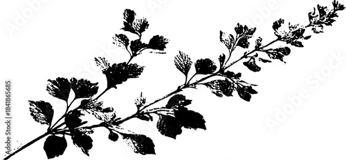 Distressed black and white stencil illustration of a looping floral branch