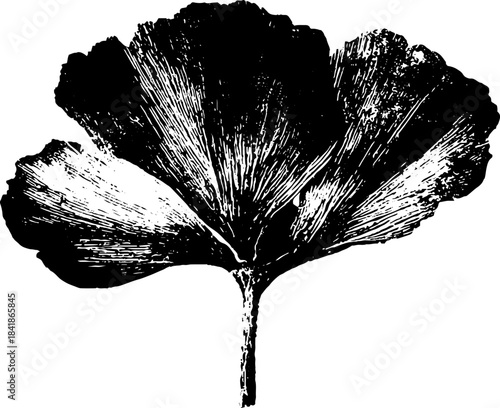 Black and white stencil art of a dry flower silhouette for vintage design
