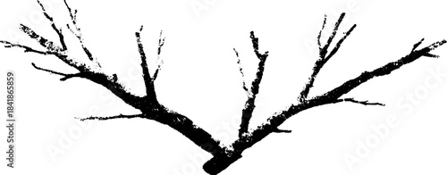 Black and white dual branching twig stencil illustration for design and print
