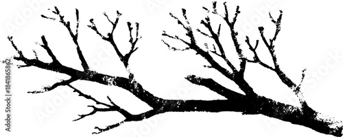 Black and white stencil illustration of dual branching twig for nature-themed design