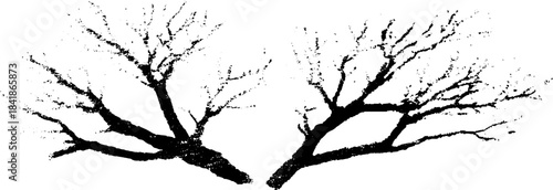 Black and white dual branching twig silhouette for nature-themed designs