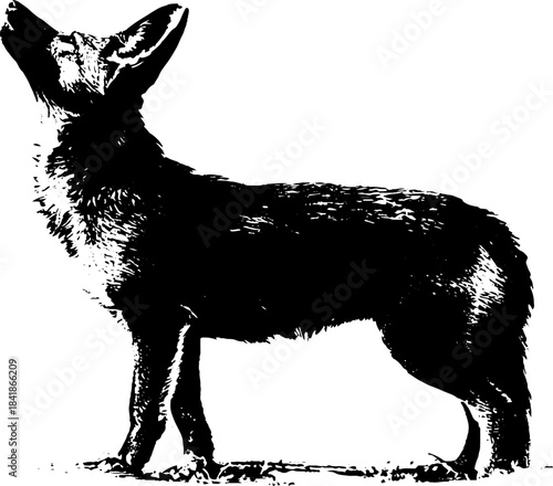 Black and white stencil illustration of a standing animal