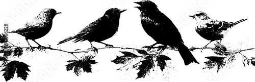 Black and white stencil art of four birds perched on branch in nature