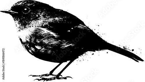 Black and white stencil bird illustration for urban art design