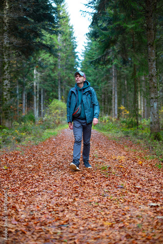 Man walking along a forest path covered with fallen autumn leaves. Outdoor lifestyle scene in a pine forest during fall season. Concept of hiking, active lifestyle, nature walk, mindfulness and health